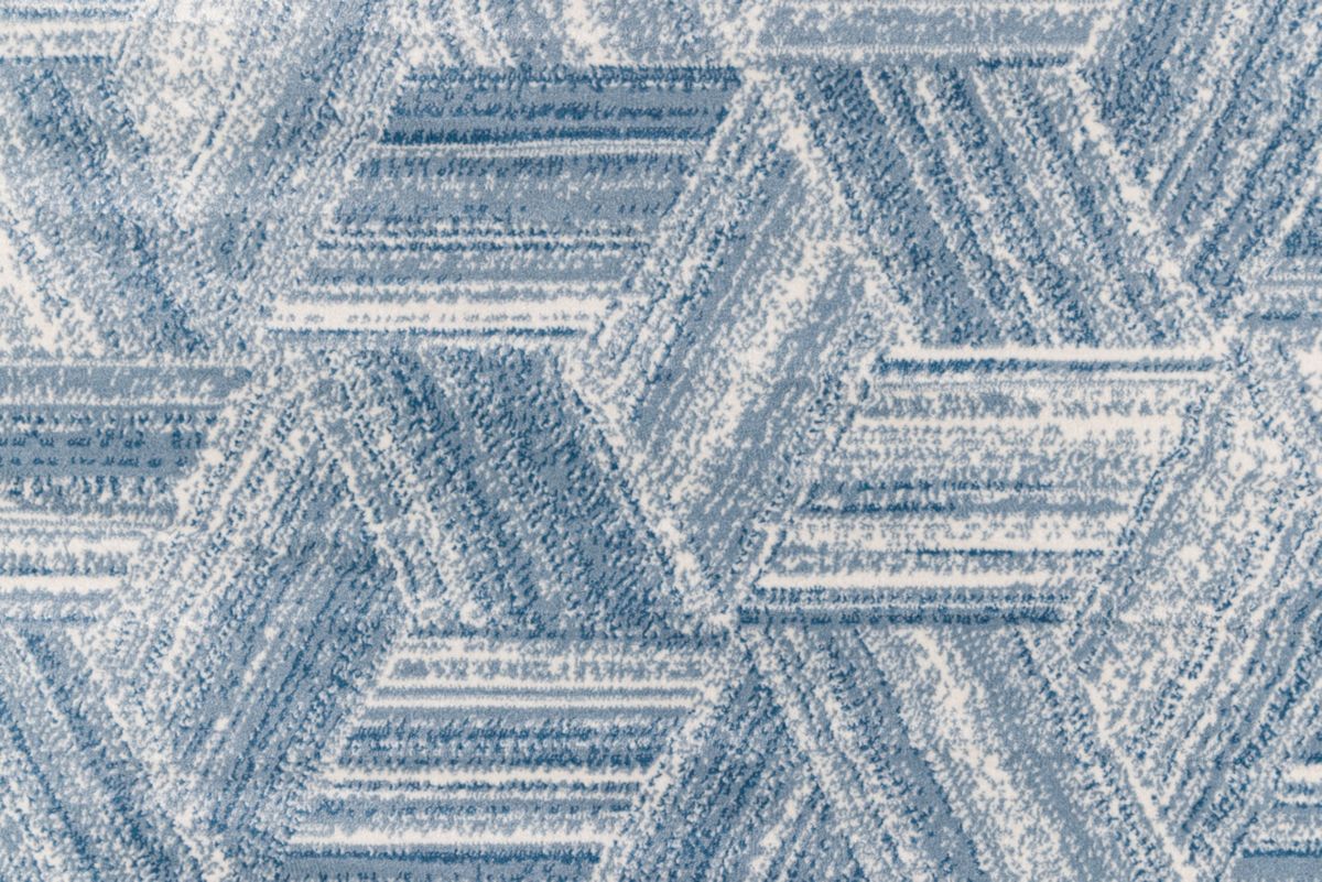 T01000491_CL