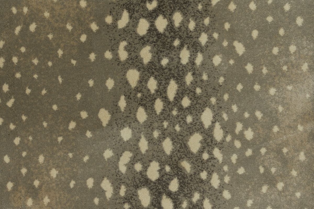T01000739_CL