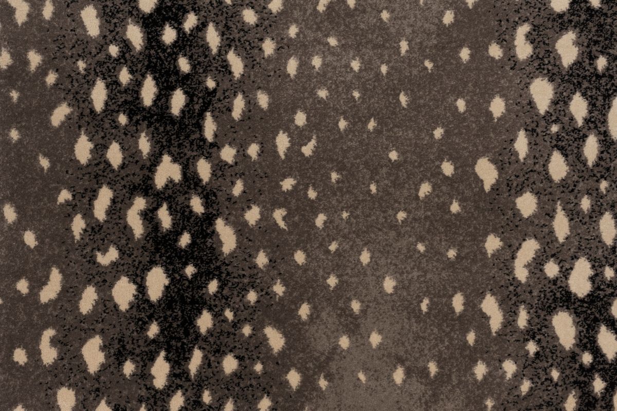 T01000751_CL