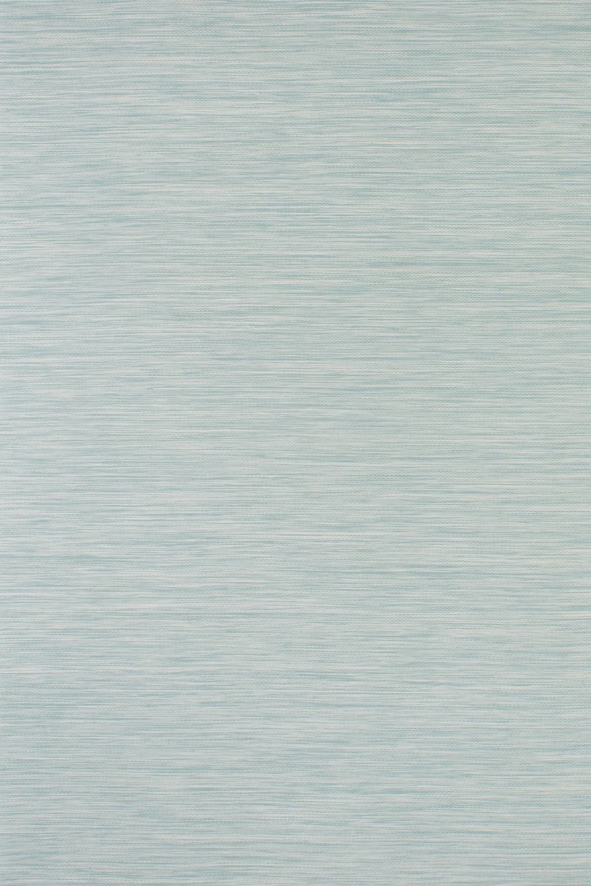 T01001869_ALT2
