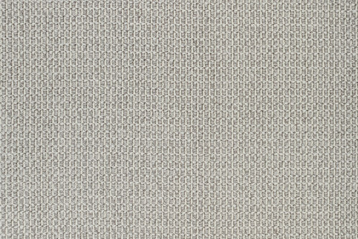 T01002566_CL