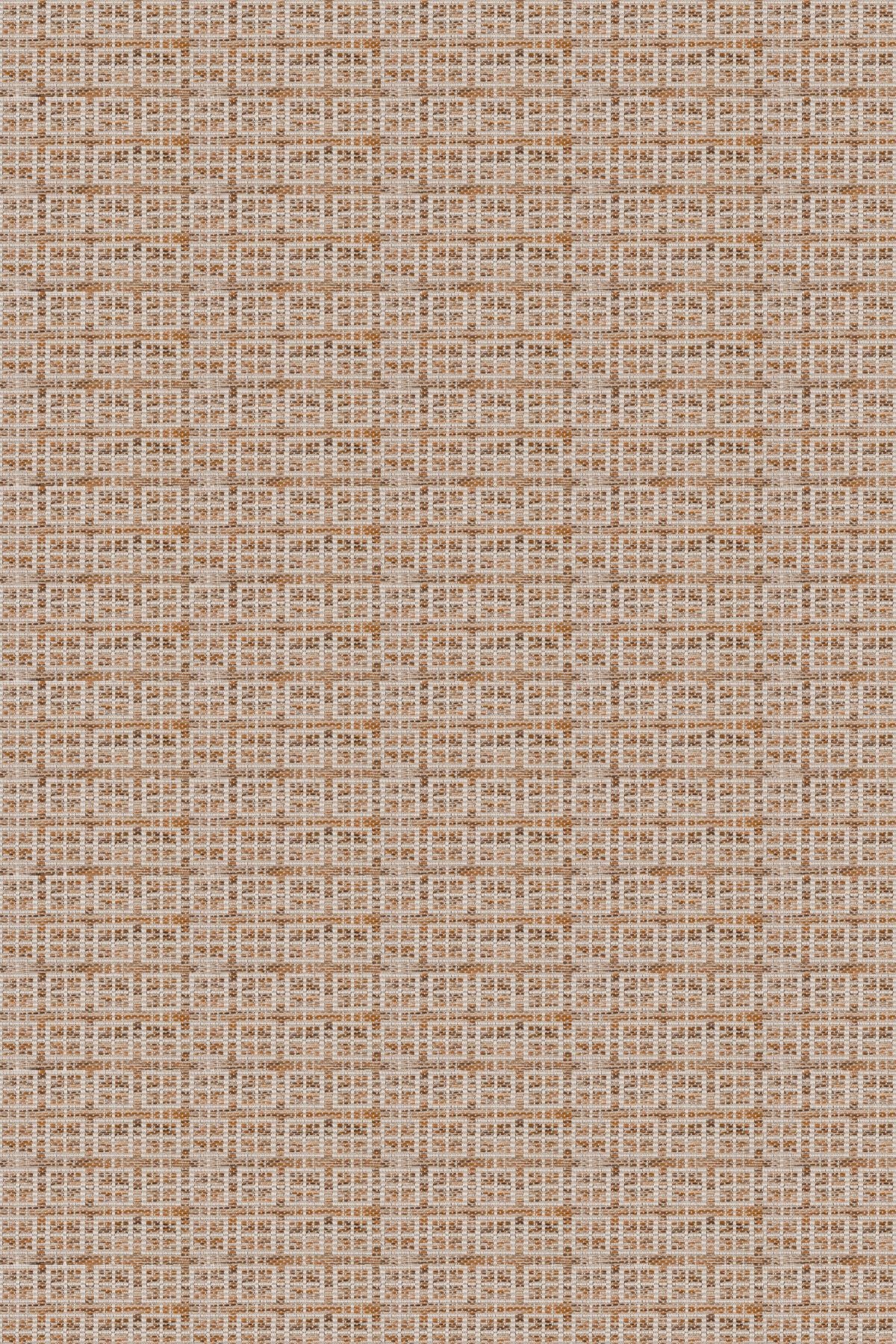 T01005780_ALT2