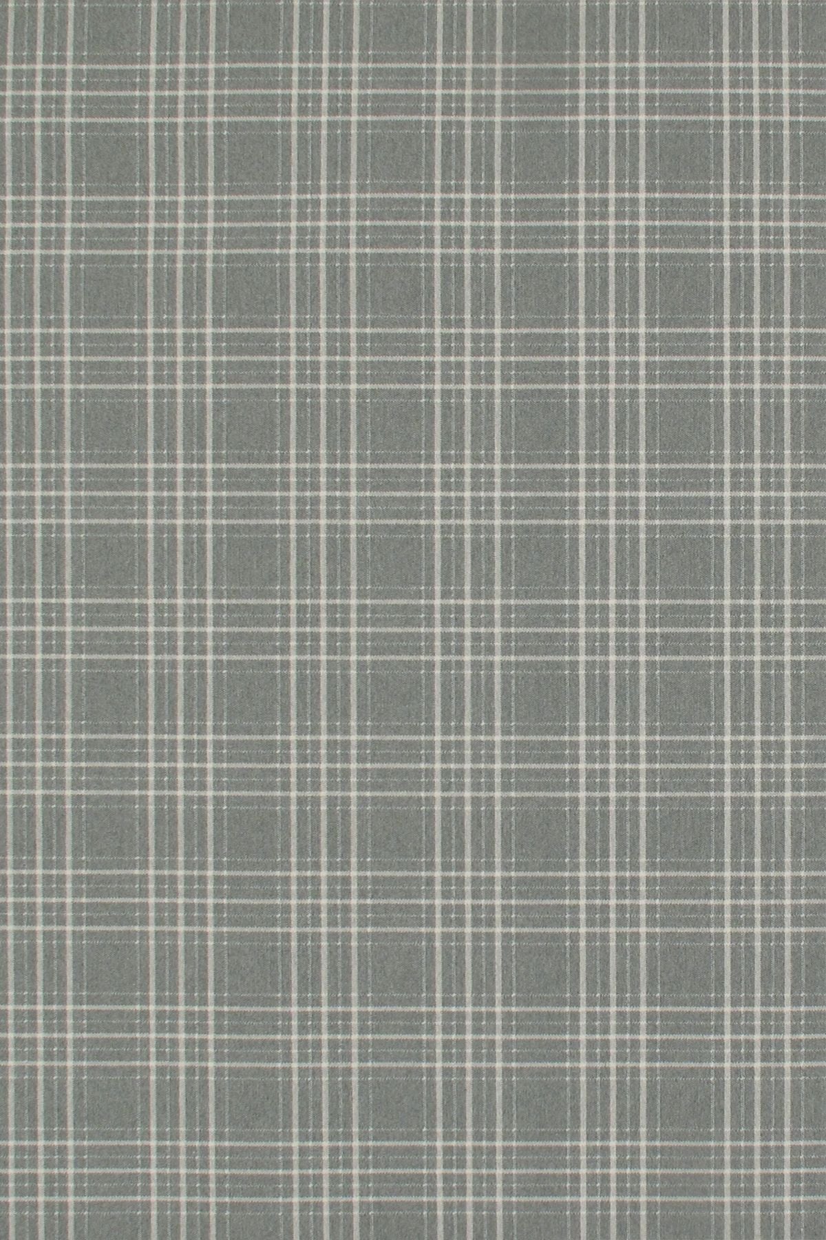 T01008788_ALT2