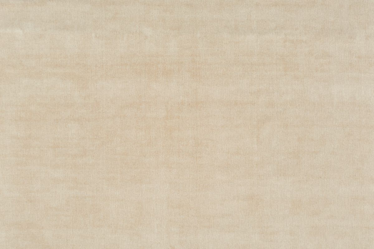 T01009179_ALT2