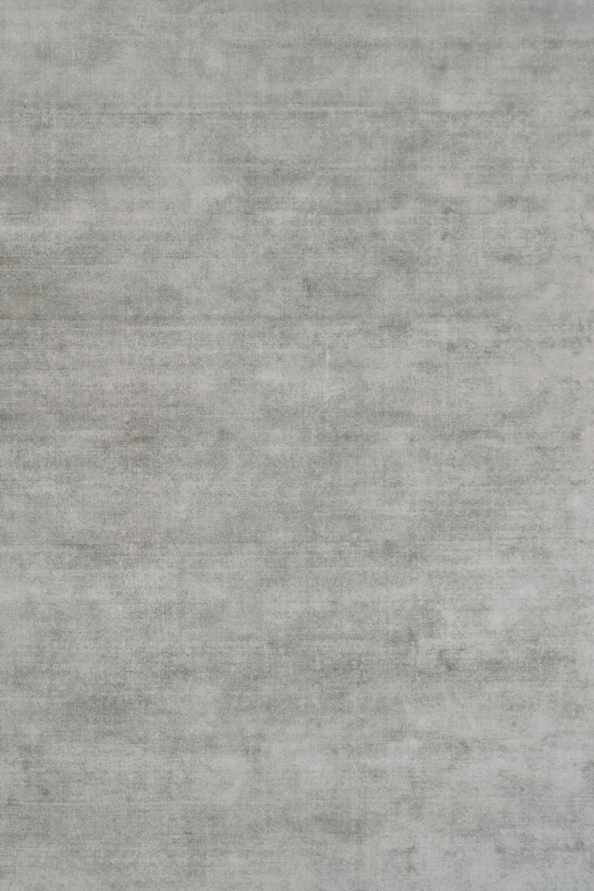 T01013540_ALT2