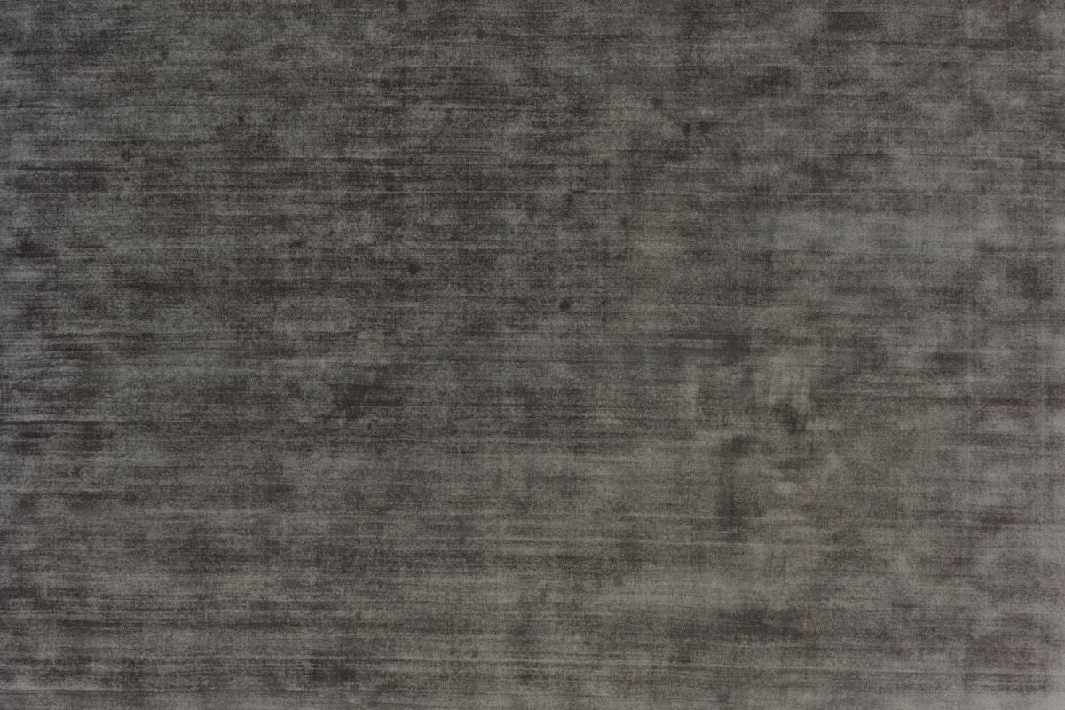 T01013541_ALT2