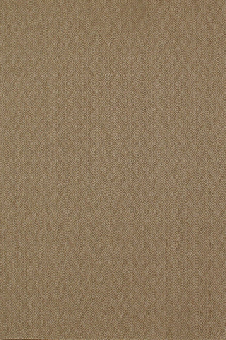T01000546_ALT2