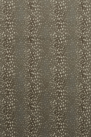 T01000725_ALT2