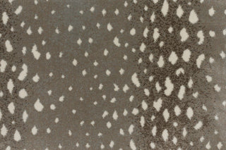 T01000725_CL