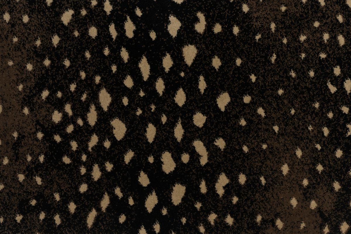 T01000730_CL