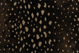 T01000730_CL
