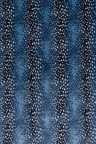 T01000737_ALT2