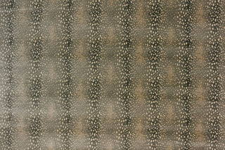 T01000739_ALT2