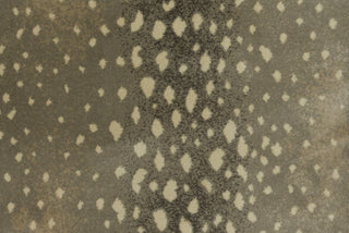 T01000739_CL