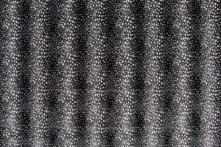 T01000740_ALT2