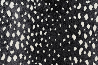 T01000740_CL