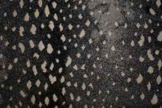 T01000741_CL