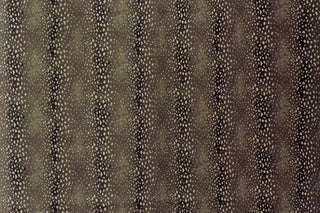 T01000751_ALT2