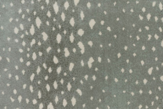 T01000757_CL