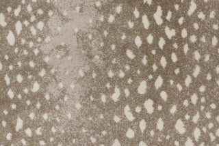 T01000760_CL