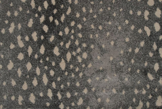 T01000762_CL