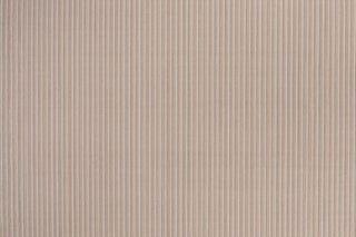 T01000853_ALT2