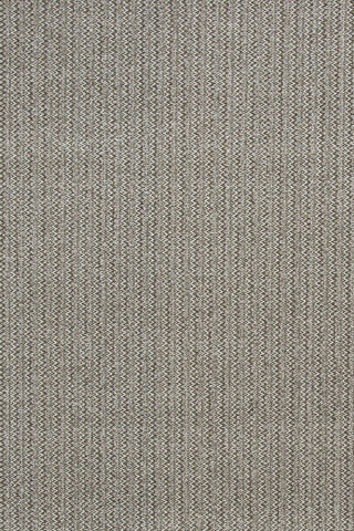 T01001031