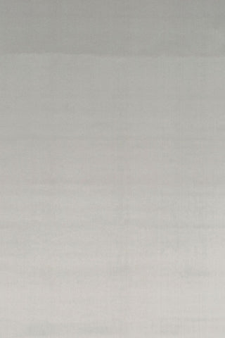 T01001059_ALT2