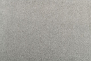 T01001059_CL