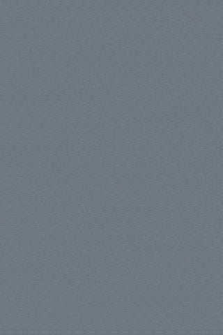 T01001062_ALT2