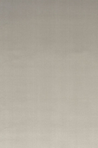 T01001064_ALT2