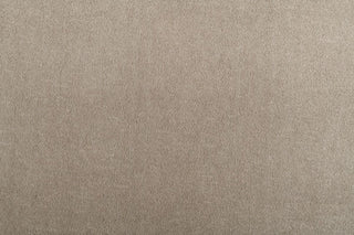 T01001064_CL