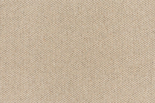 T01001392_CL