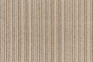 T01001398_CL