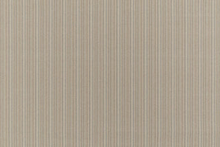 T01001402_ALT2