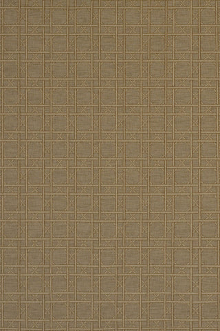 T01001569_ALT2