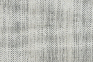T01001686_CL