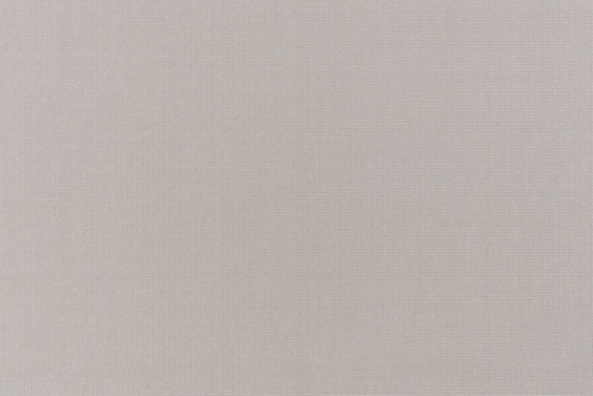 T01001691_ALT2