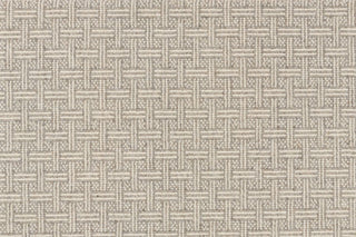 T01001976_CL