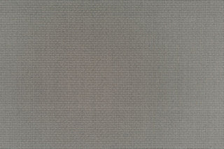 T01001977_ALT2