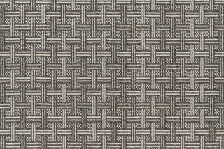 T01001977_CL