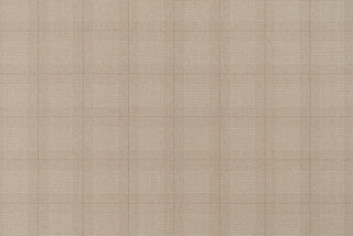 T01002096_ALT2