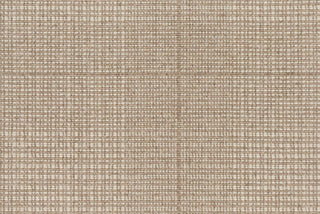 T01002096_CL