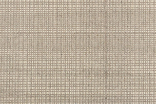 T01002097_CL