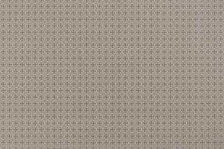 T01002560_ALT2