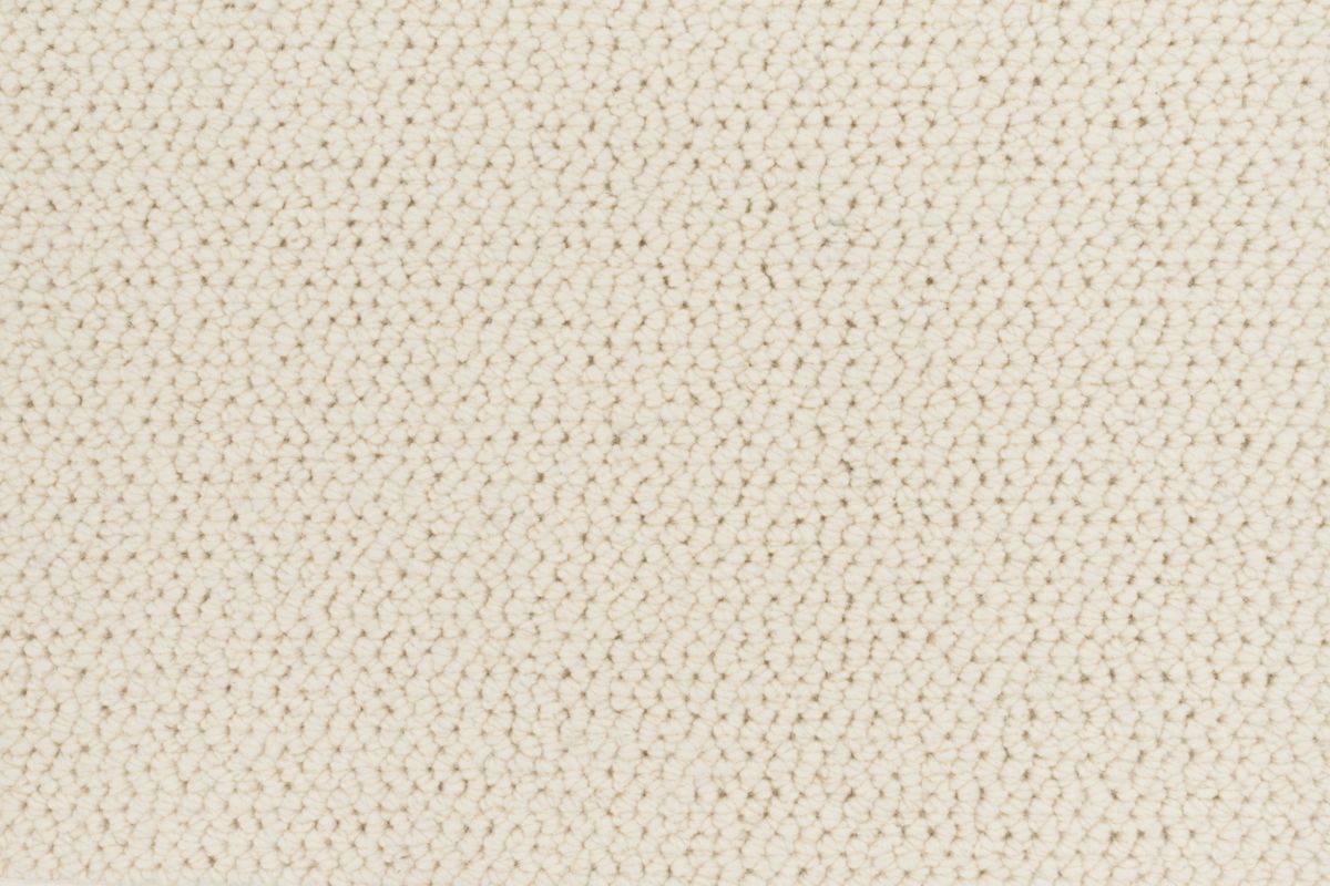 T01002624_CL