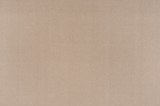 T01002741_ALT2