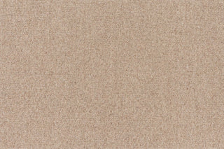 T01002741_CL