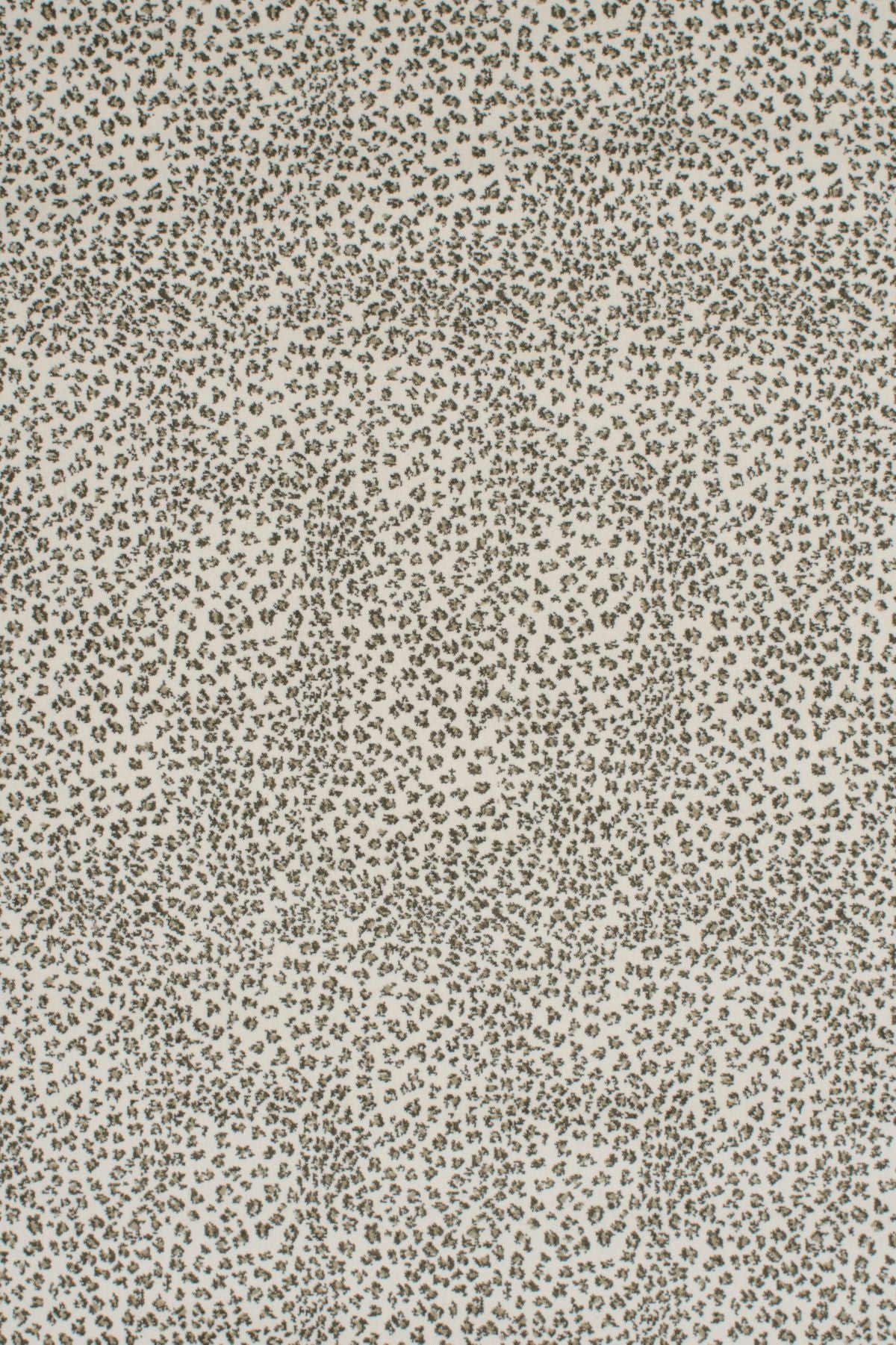 T01002826_ALT2