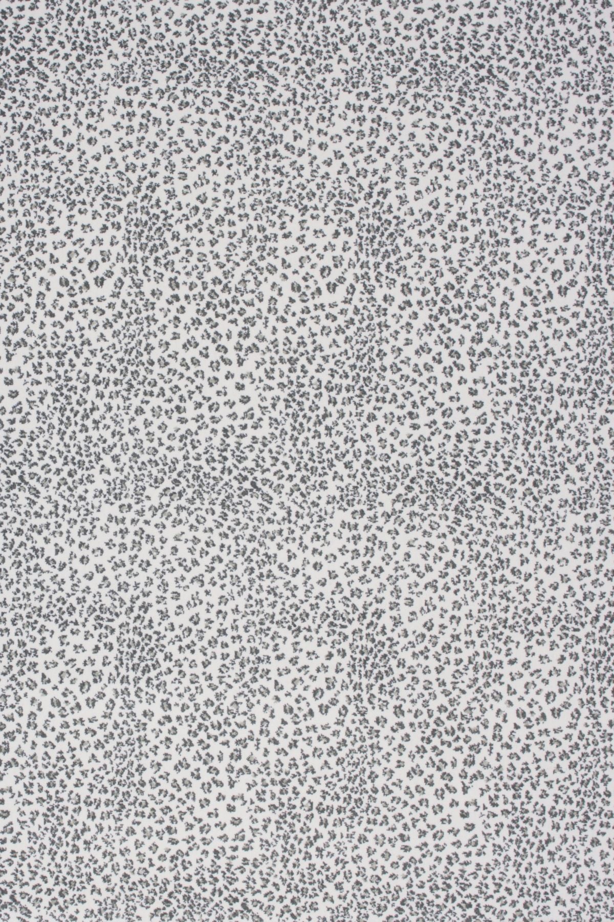 T01002827_ALT2